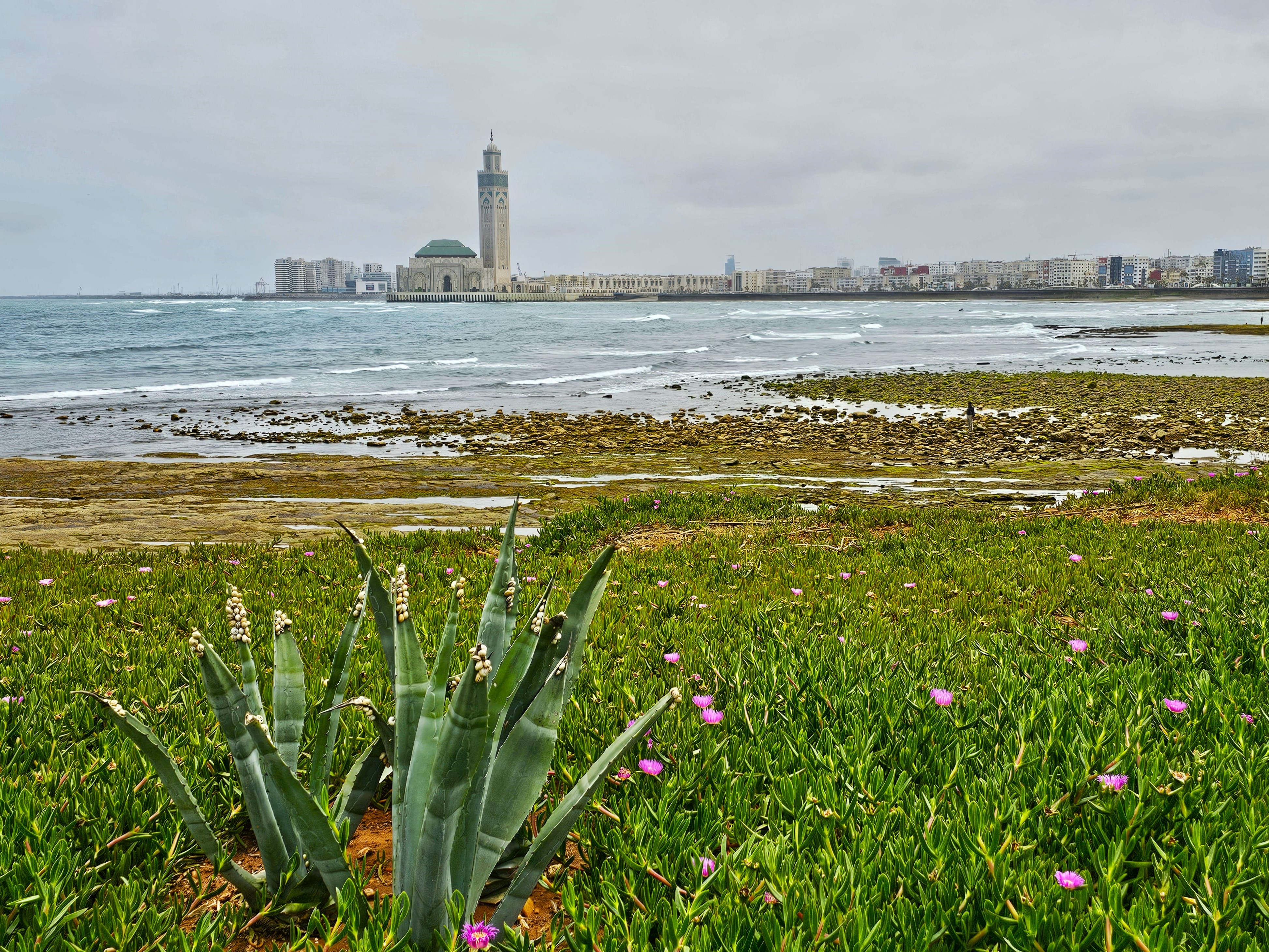 Casablanca